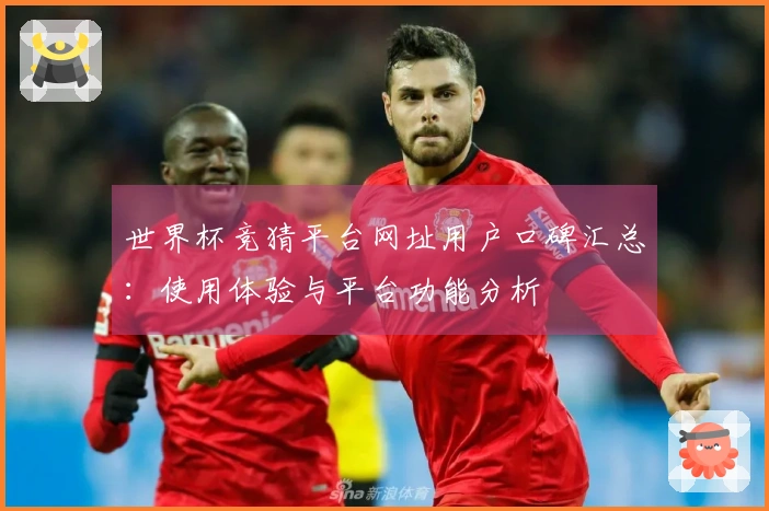 世界杯竞猜平台网址用户口碑汇总：使用体验与平台功能分析