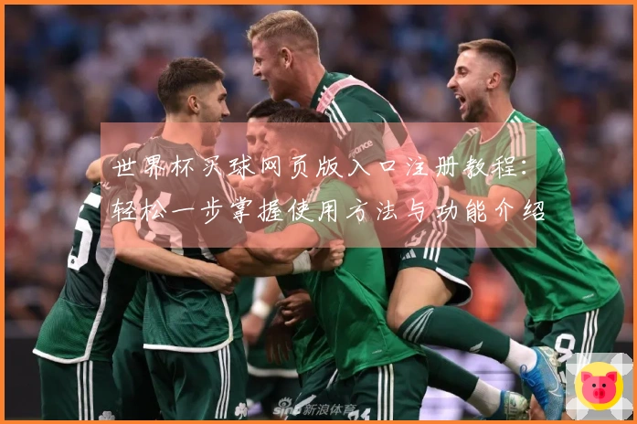世界杯买球网页版入口注册教程：轻松一步掌握使用方法与功能介绍