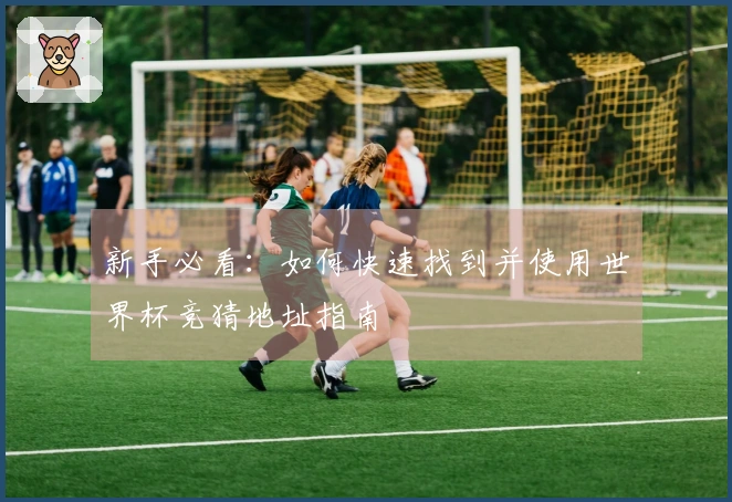 新手必看：如何快速找到并使用世界杯竞猜地址指南