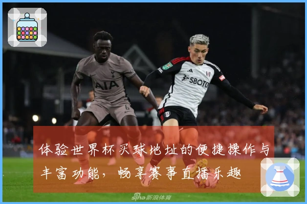体验世界杯买球地址的便捷操作与丰富功能,畅享赛事直播乐趣