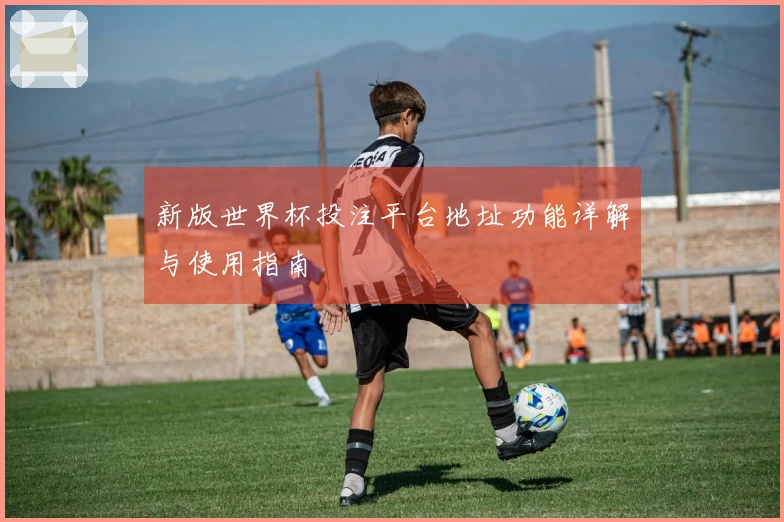 新版世界杯投注平台地址功能详解与使用指南