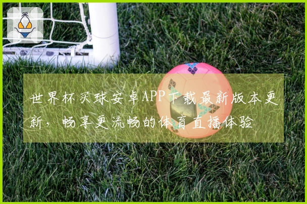 世界杯买球安卓APP下载最新版本更新，畅享更流畅的体育直播体验